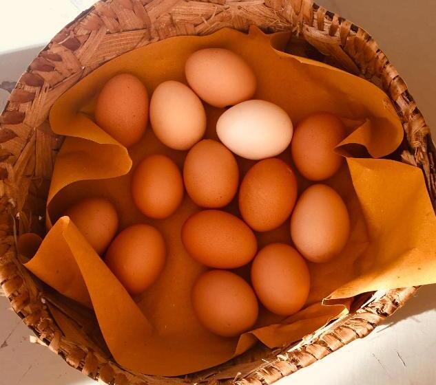 غرفة قياسية ثلاثية, Meravilla