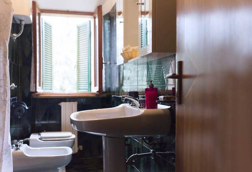 غرفة قياسية ثلاثية, Meravilla