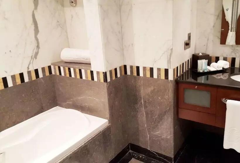 اتاق استاندارد با چشم‌انداز استخر, Al Ain Rotana