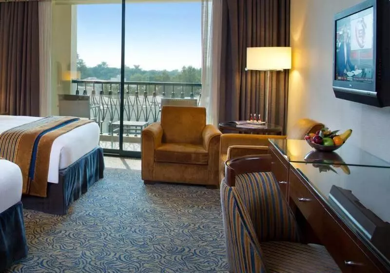 اتاق پرمیوم, Al Ain Rotana