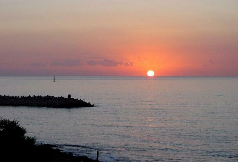 جناح عائلي, Alcossebre