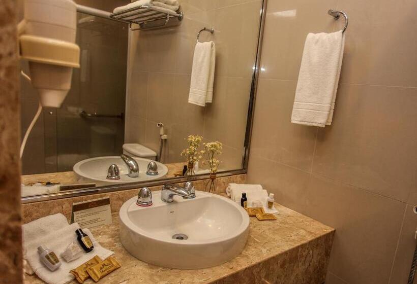 プールの見えるシングルルーム, Mareiro Hotel Beira Mar