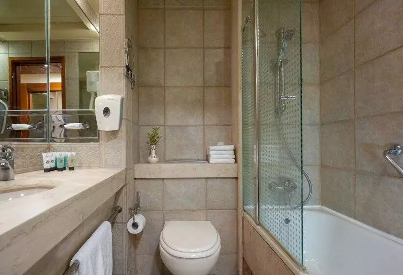 Deluxe-huone, Olive Tree