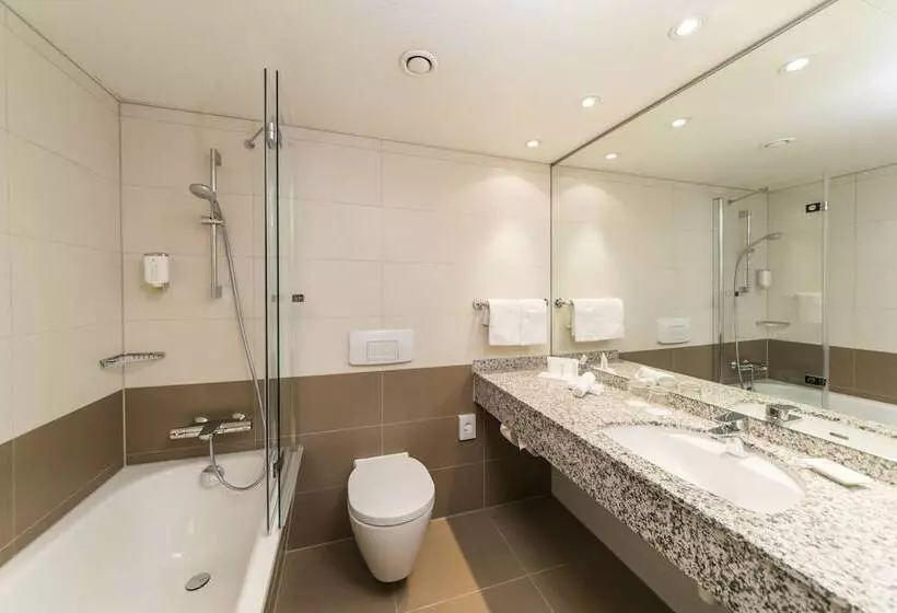 اتاق سوپریور, Ramada Graz