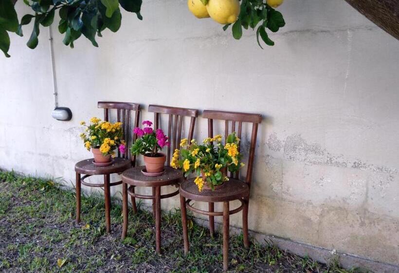 Номер Стандарт, B&b Villa Sofia
