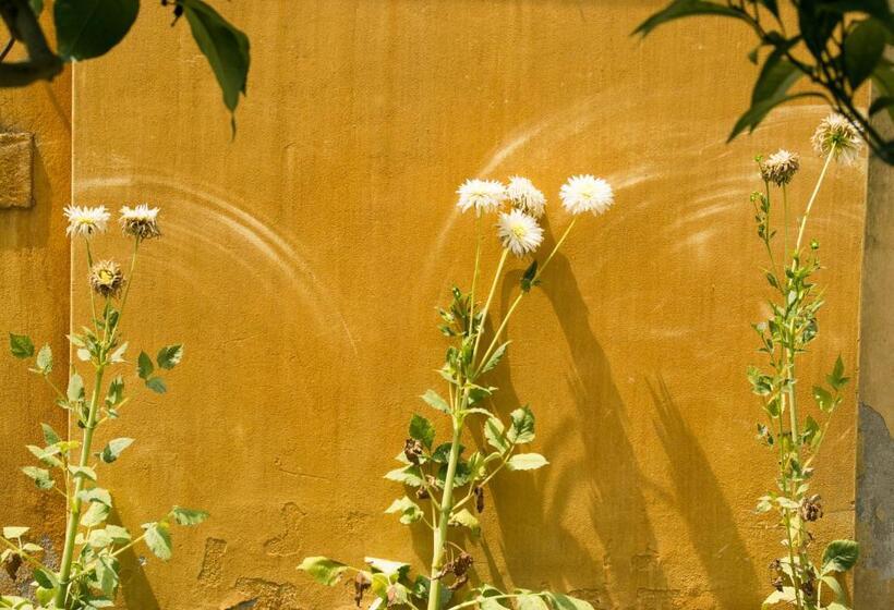 غرفة قياسية, Villa Fava