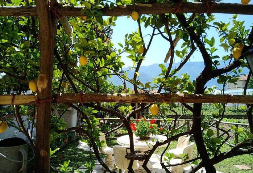 غرفة عائلية, Buonocore Rooms