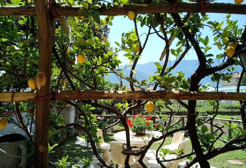 غرفة عائلية, Buonocore Rooms