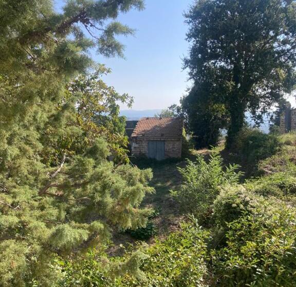 آپارتمان 1 خوابه, La Biocca