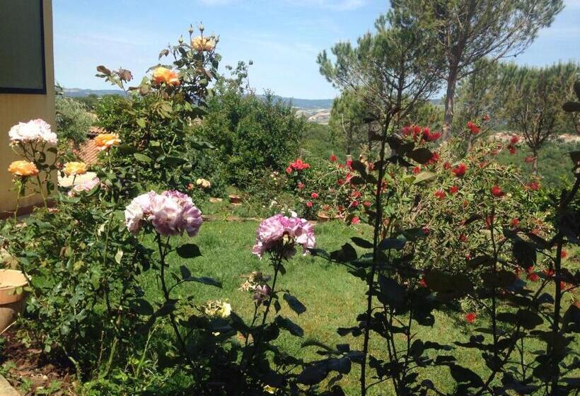 استودیوی لوکس, La Biocca