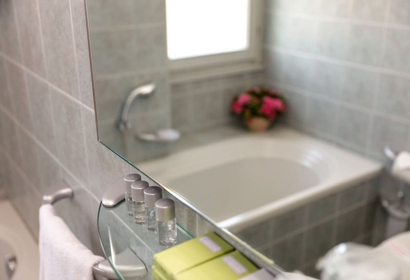 غرفة قياسية فردية, Villa Cagnola