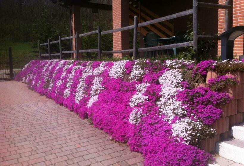 غرفة قياسية, Agriturismo Altana Del Motto Rosso
