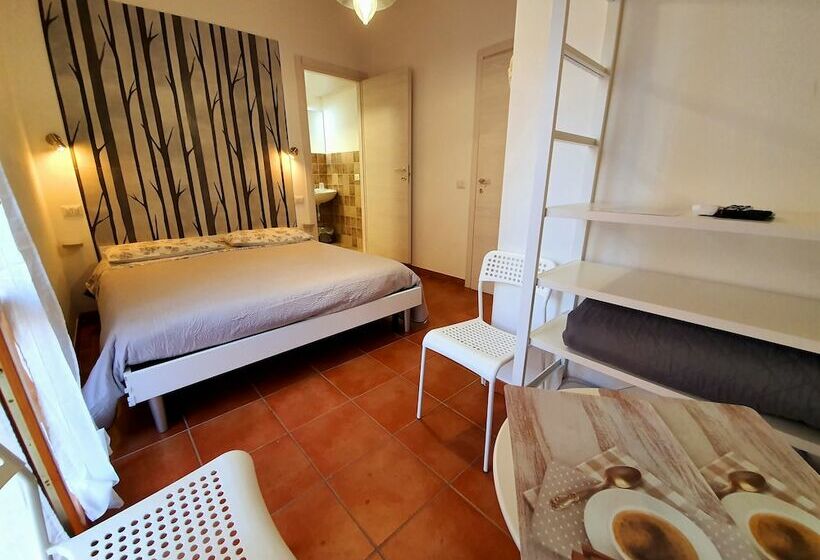 Standardrum, Aba Maya Alghero