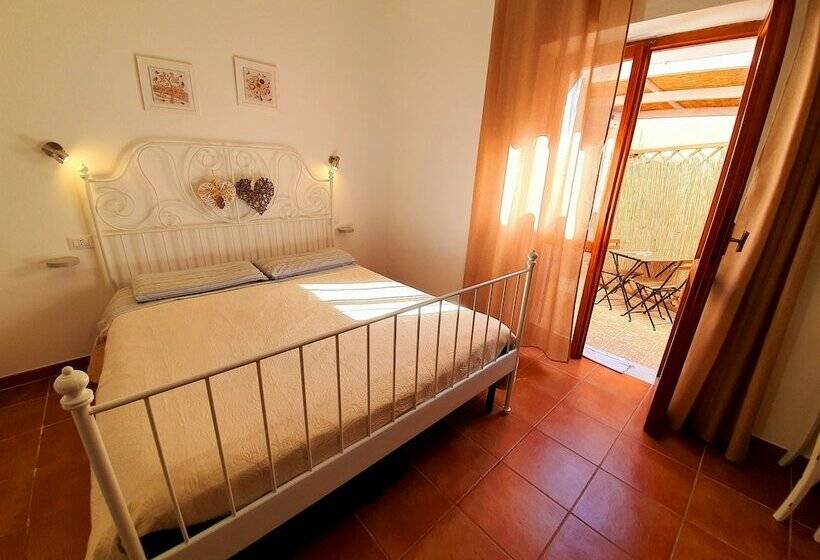 Standardrum, Aba Maya Alghero