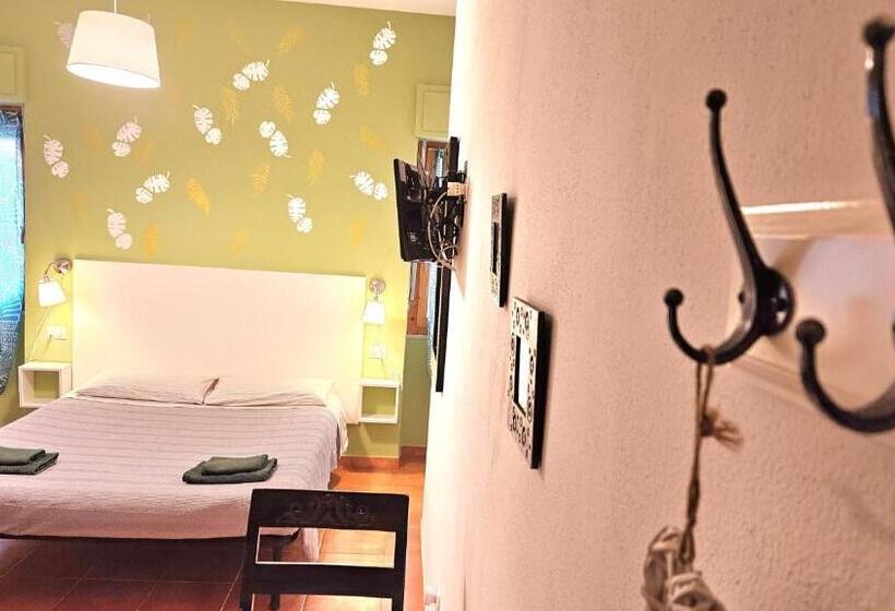 Standardrum, Aba Maya Alghero