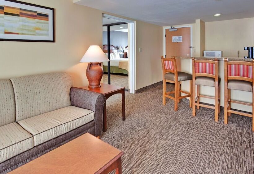 Люкс 2 Спальни, Holiday Inn Hotel & Suites Anaheim, An Ihg