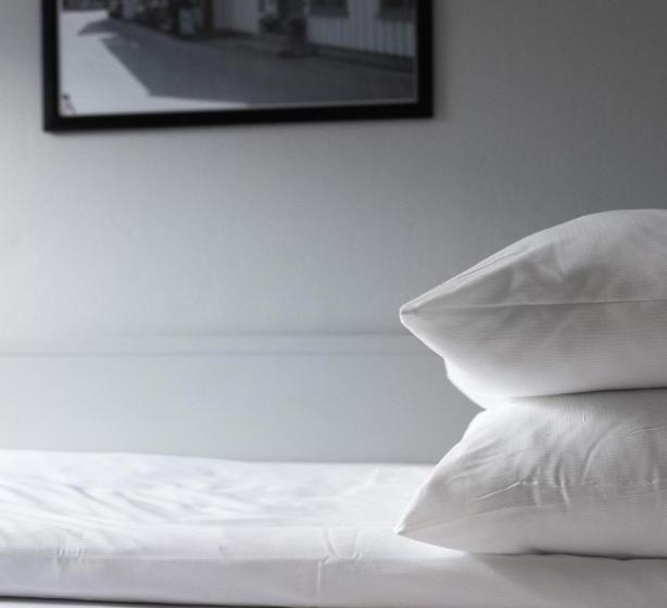 اتاق استاندارد یک نفره, Frøken Skjolds Hotel Lyngengården