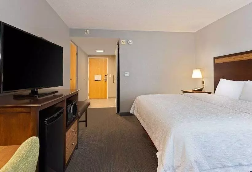 身障者適用キングサイズベッドルーム, Hampton Inn & Suites Fort Myers Beach/sanibel Gateway