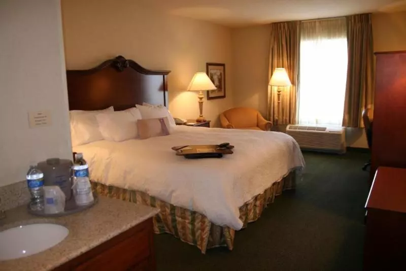 キングサイズベッドのスイートルーム, Hampton Inn & Suites Fort Myers Beach/sanibel Gateway