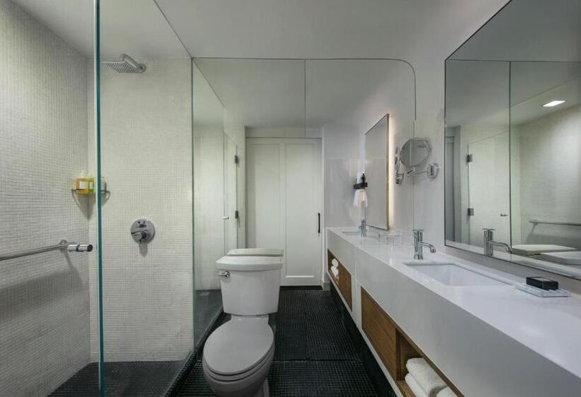 استودیو استاندارد با تخت کینگ, De La Poste – French Quarter, A Renaissance