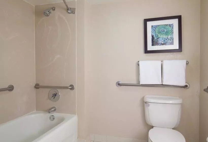 Perhesviitti, Residence Inn Orlando Lake Buena Vista
