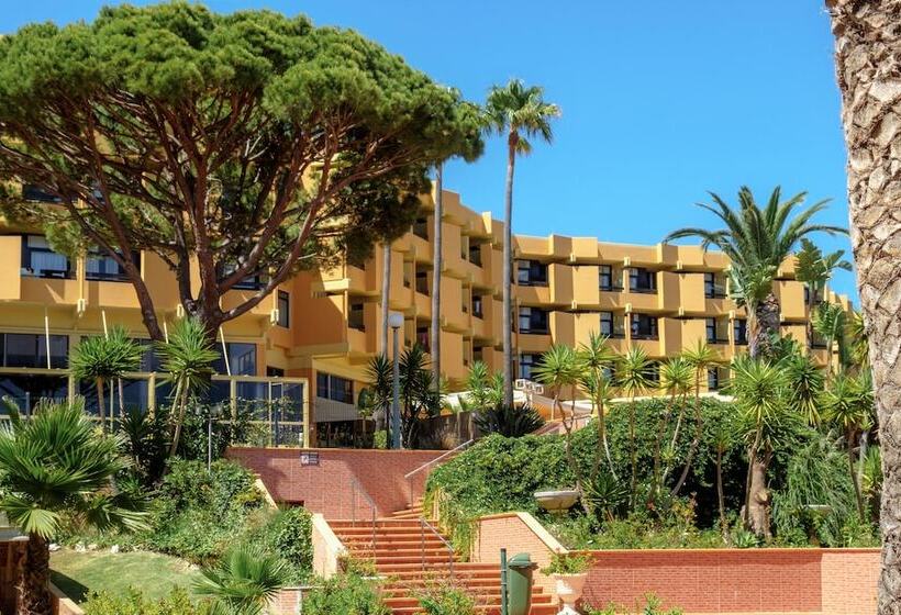 スタンダードルーム, Auramar Beach Resort