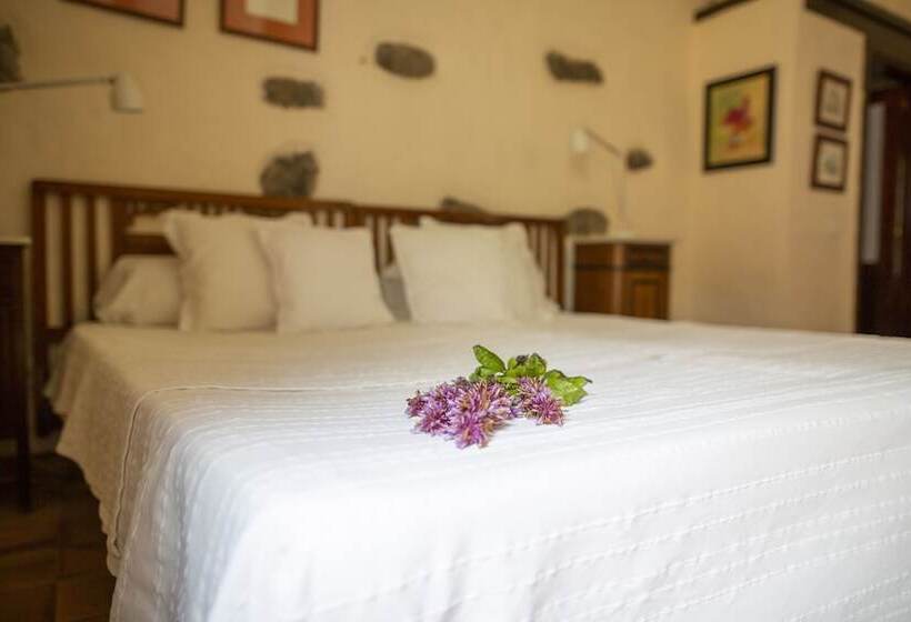 주니어 스위트, Rural Las Calas