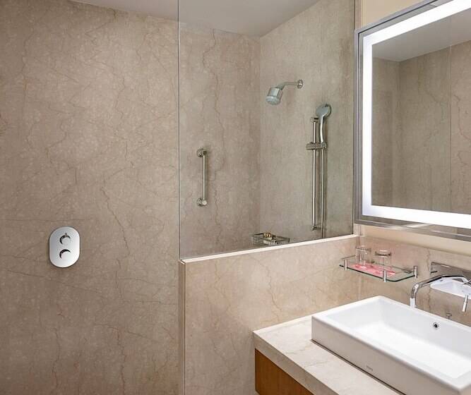 חדר דלוקס, Trident Udaipur