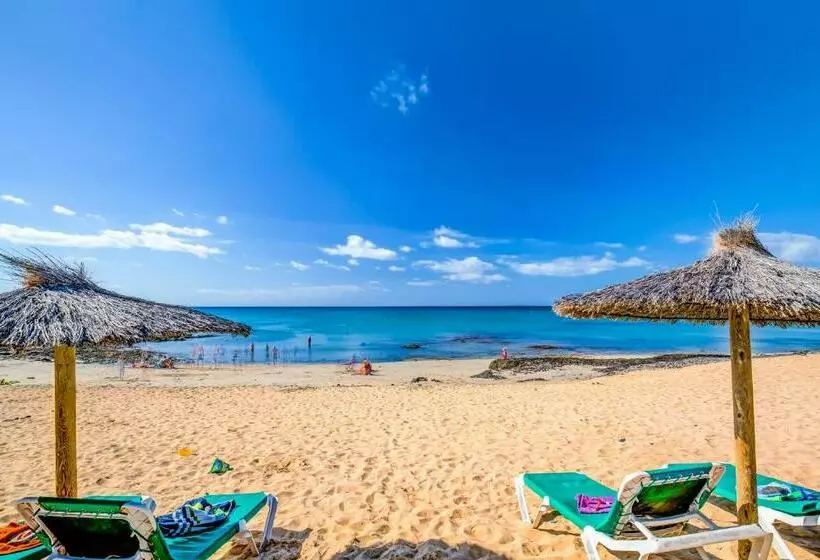 اتاق استاندارد یک تخته با چشم‌انداز دریا, Sbh Costa Calma Beach Resort