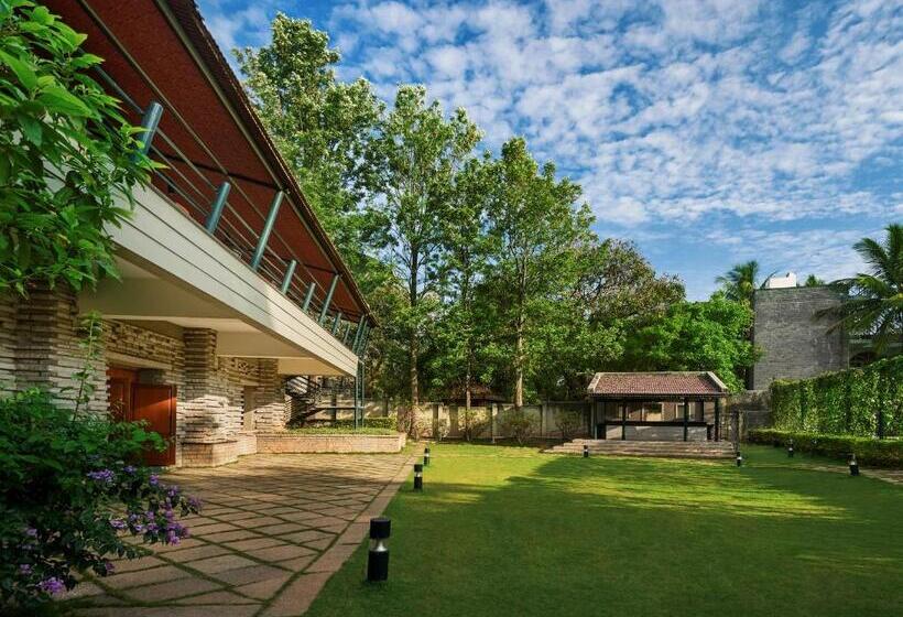 エクゼクティブルーム, Angsana Oasis Spa & Resort