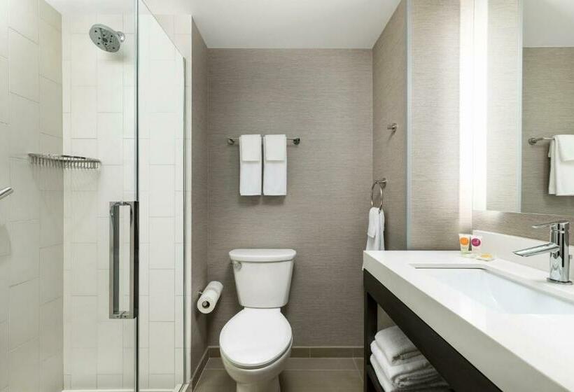 스탠다드 룸 킹사이즈 침대, Hyatt Place New York City Times Square