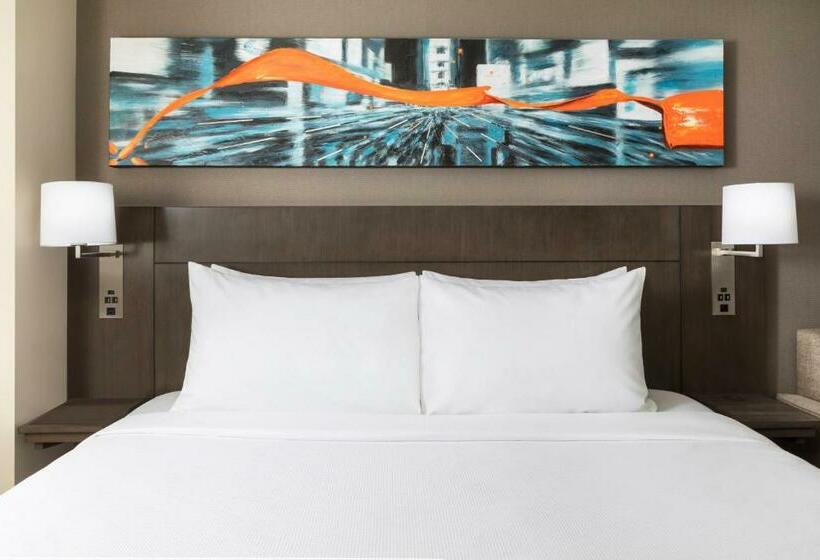 스탠다드 룸 킹사이즈 침대, Hyatt Place New York City Times Square
