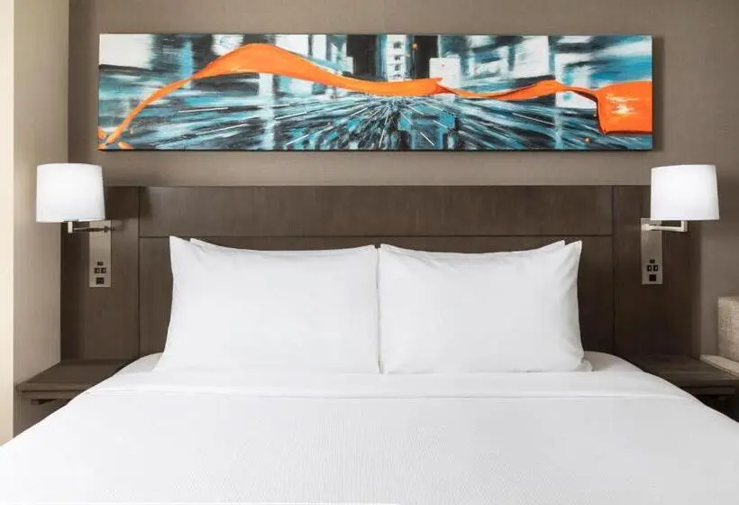 اتاق استاندارد با تخت بزرگ برای معلولان, Hyatt Place New York City Times Square