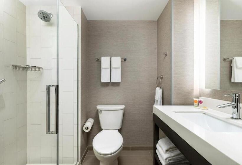 اتاق استاندارد با تخت بزرگ برای معلولان, Hyatt Place New York City Times Square