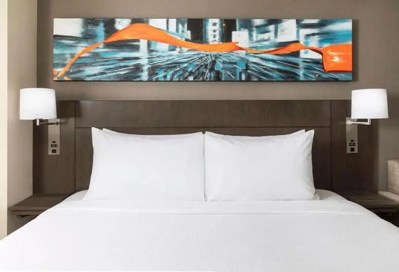 اتاق استاندارد با تخت بزرگ, Hyatt Place New York City Times Square