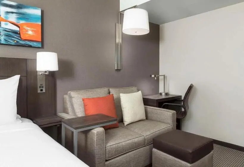 اتاق استاندارد با تخت بزرگ, Hyatt Place New York City Times Square