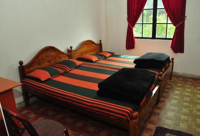 클래식 4인 룸, Akiko Rest