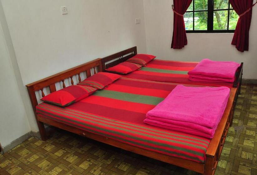 클래식 4인 룸, Akiko Rest