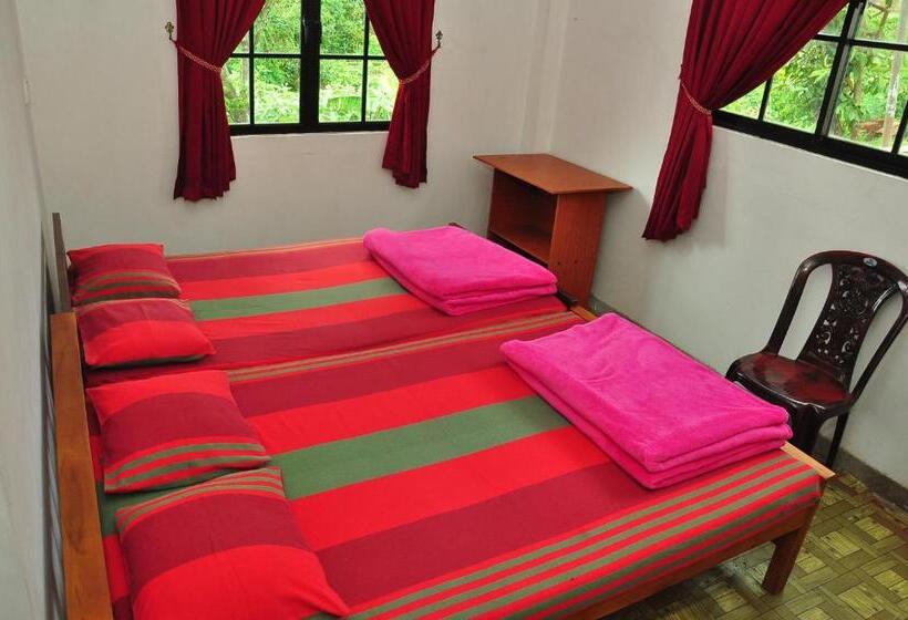 클래식 4인 룸, Akiko Rest