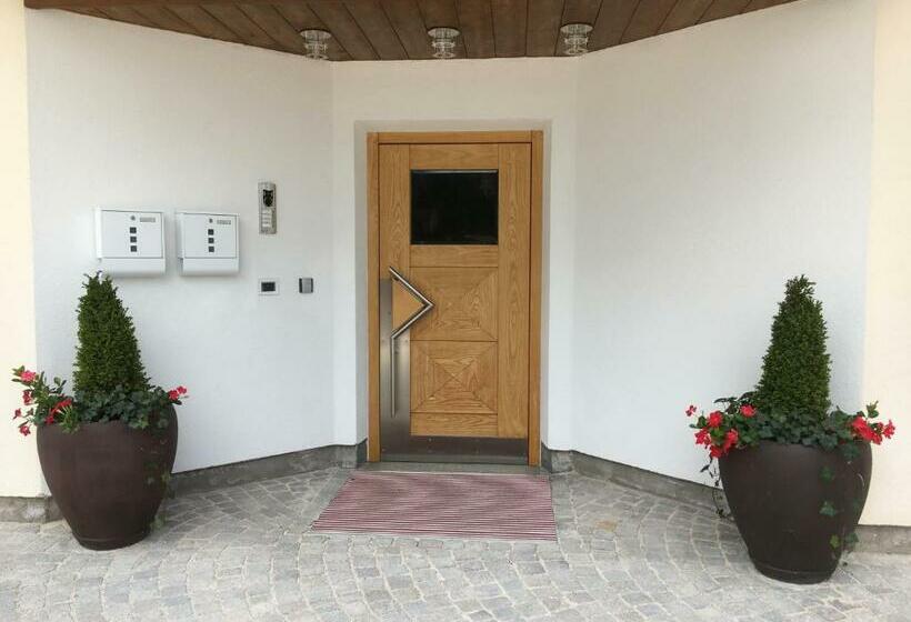 Апартаменты 1 Спальня Нижний Этаж, Ciasa Roenn