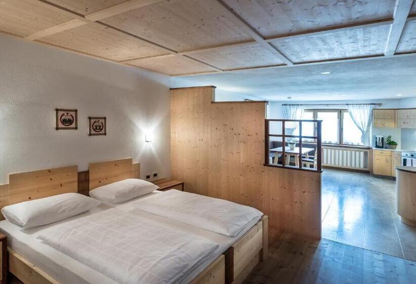 Апартаменты 1 Спальня Нижний Этаж, Ciasa Roenn