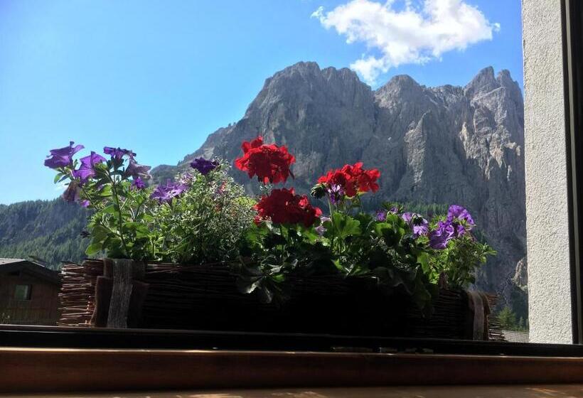 Номер Стандарт, Ciasa Roenn