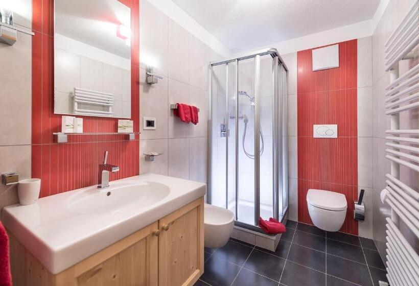 Номер Стандарт, Ciasa Roenn