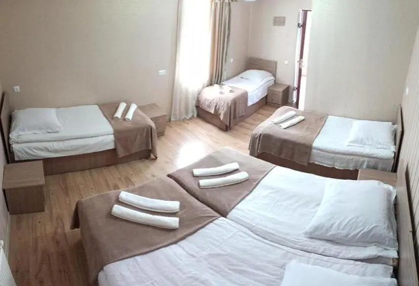 اتاق خانوادگی, Guest House On V. Pshavela 50