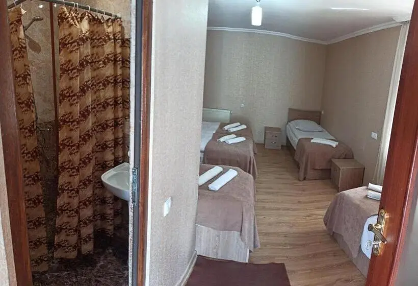 اتاق خانوادگی, Guest House On V. Pshavela 50