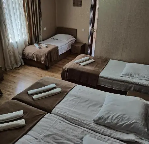 اتاق خانوادگی, Guest House On V. Pshavela 50