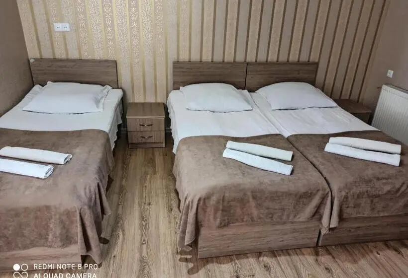 اتاق خانوادگی, Guest House On V. Pshavela 50