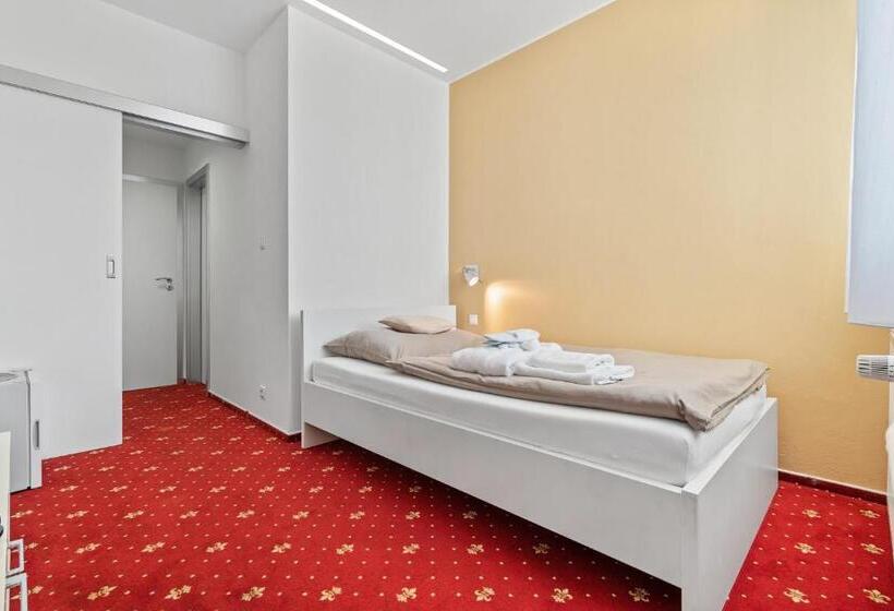 标准单人间, Vila Jiřinka