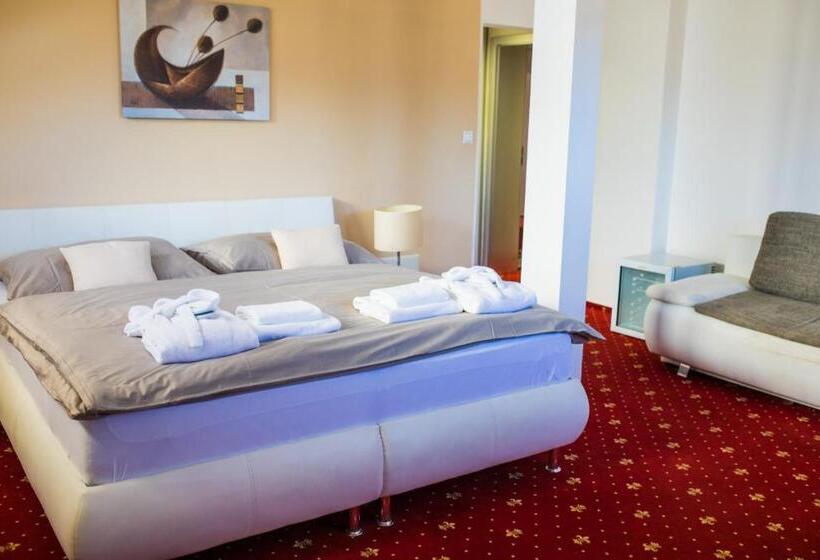 豪华房间, Vila Jiřinka