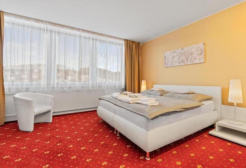 豪华房间, Vila Jiřinka